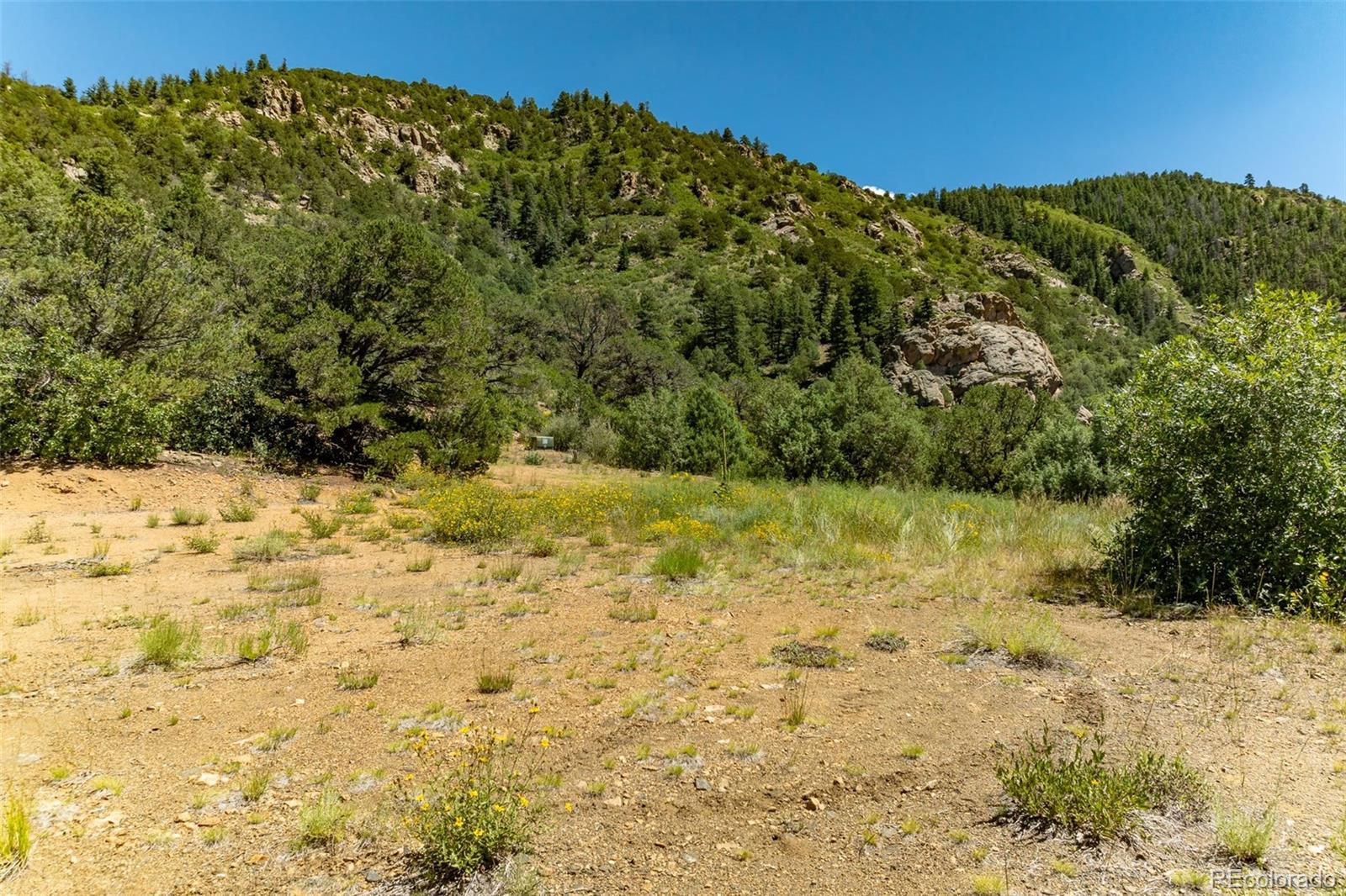 1403 Oak Creek Drive Canon City CO 81212