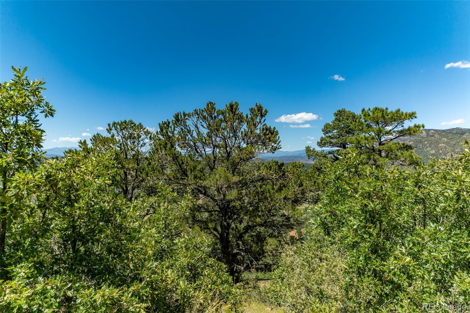 1403 Oak Creek Drive Canon City CO 81212