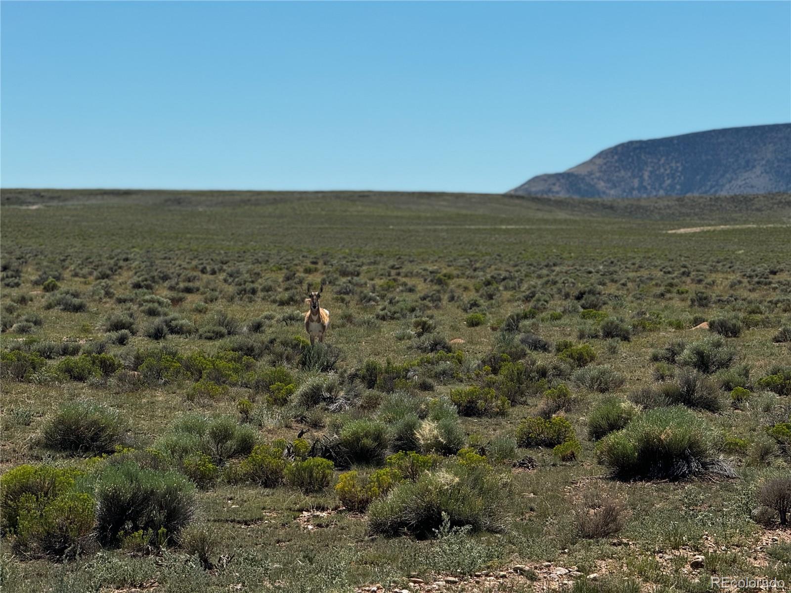 Lot 18 Russ Road San Luis CO 81152