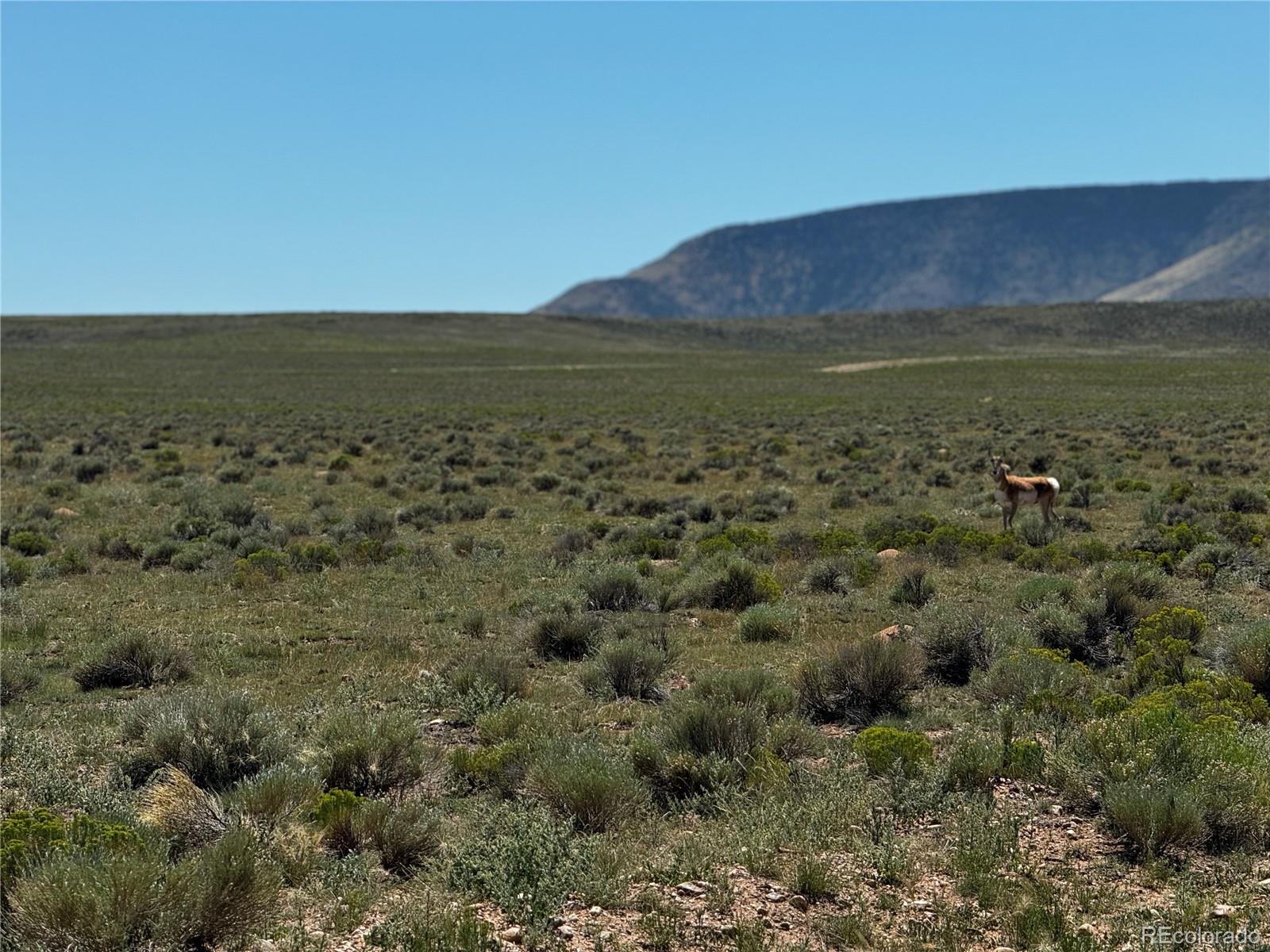 Lot 18 Russ Road San Luis CO 81152