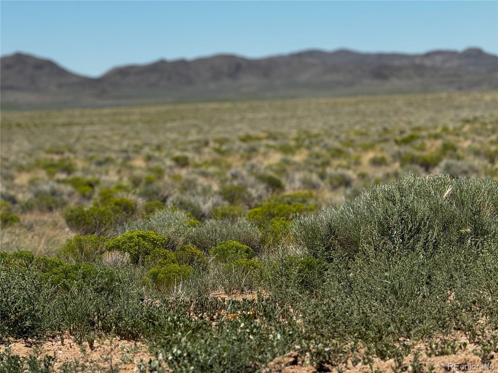 Lot 18 Russ Road San Luis CO 81152