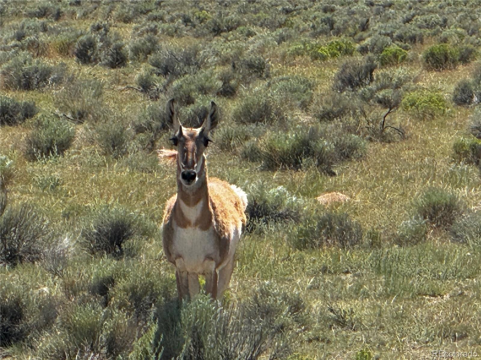 Lot 18 Russ Road San Luis CO 81152