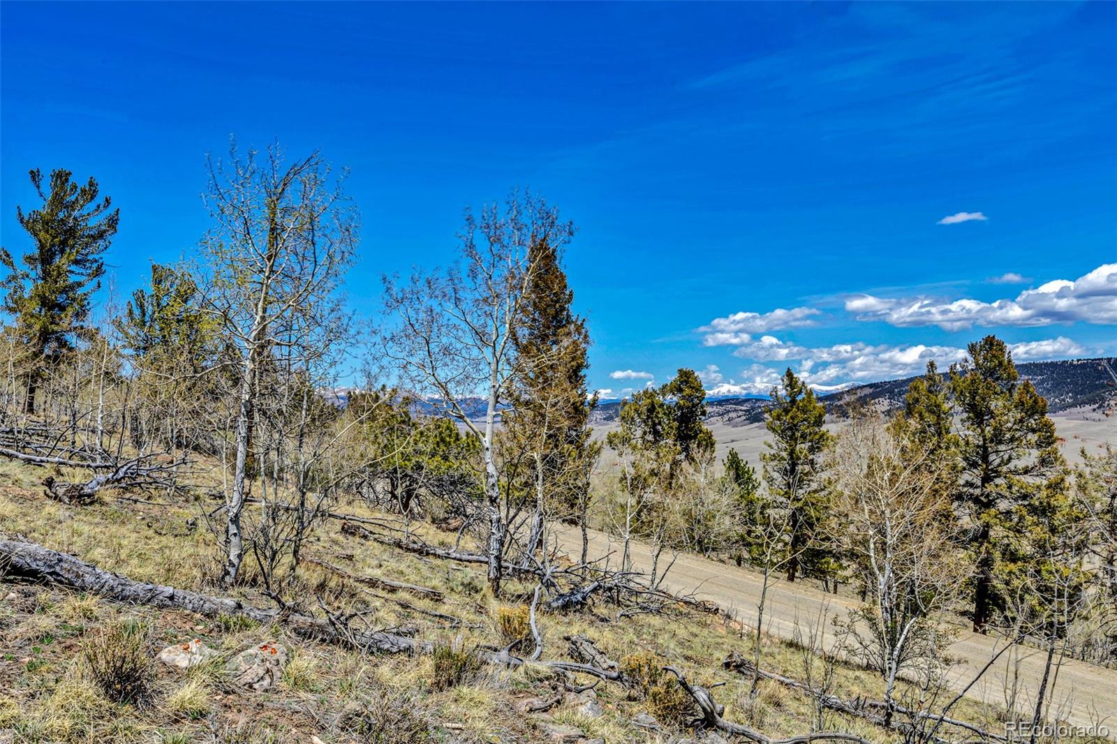 5544 Middle Fork Vista Fairplay CO 80420