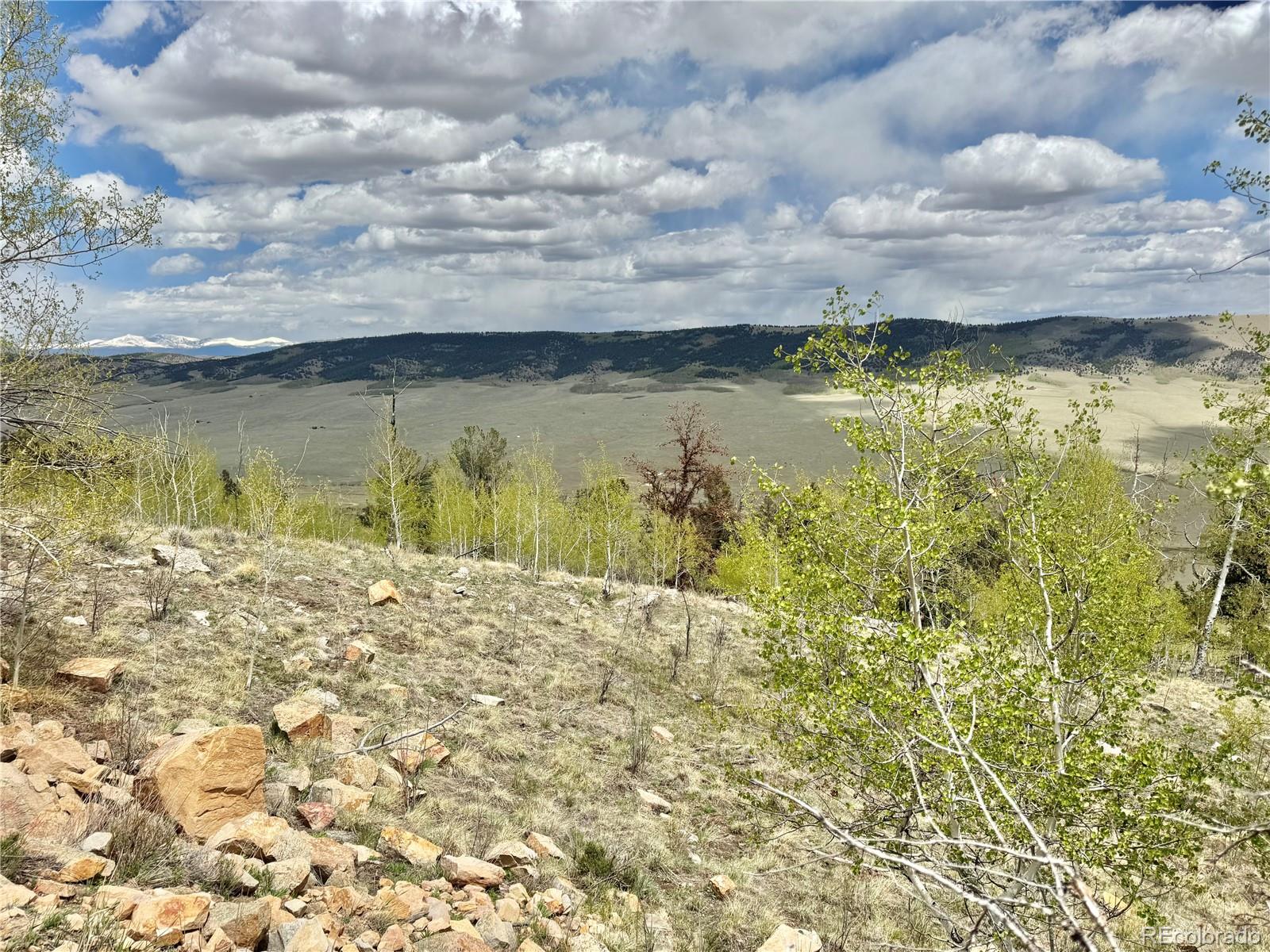 5544 Middle Fork Vista Fairplay CO 80420