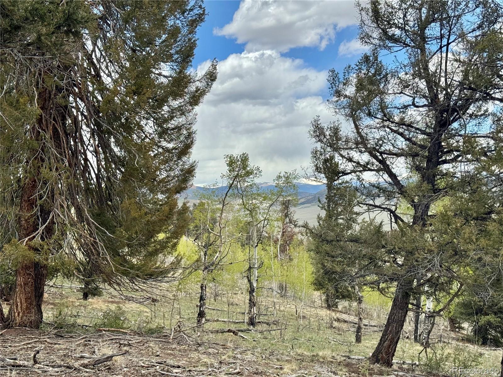5544 Middle Fork Vista Fairplay CO 80420