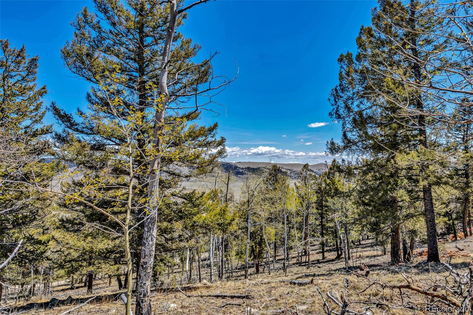 5544 Middle Fork Vista Fairplay CO 80420