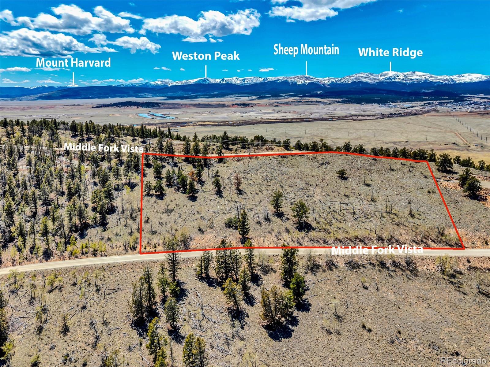 5544 Middle Fork Vista Fairplay CO 80420