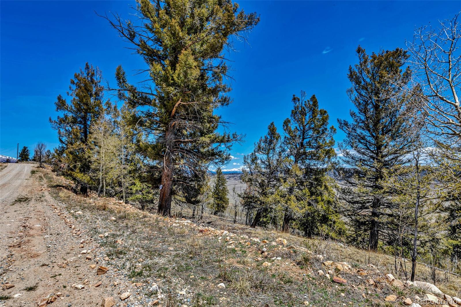 5544 Middle Fork Vista Fairplay CO 80420