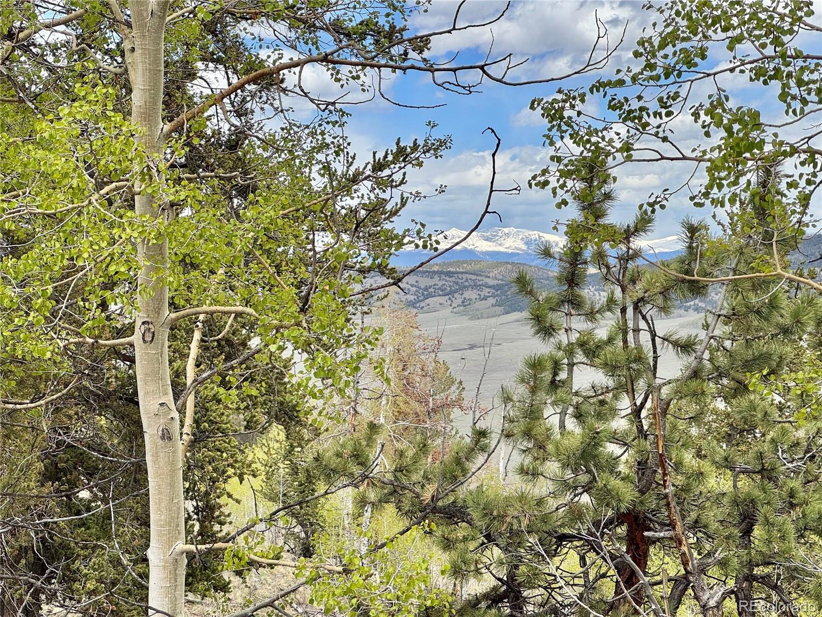5544 Middle Fork Vista Fairplay CO 80420