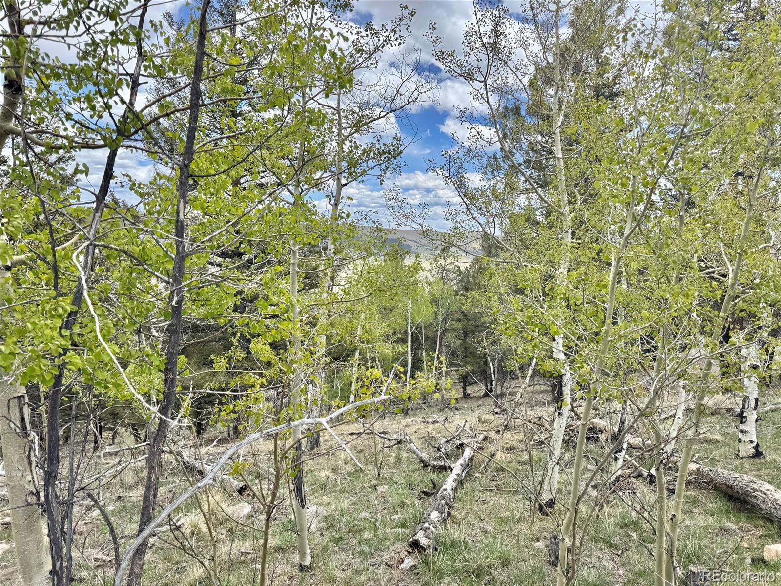 5544 Middle Fork Vista Fairplay CO 80420
