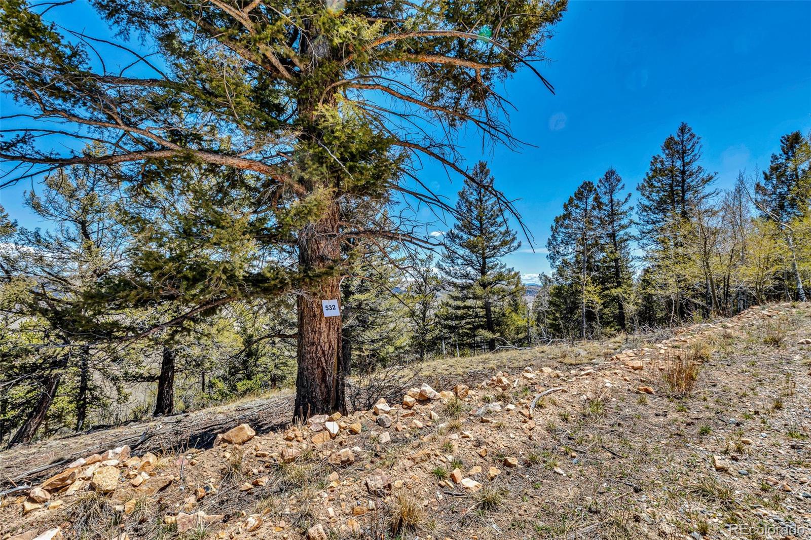 5544 Middle Fork Vista Fairplay CO 80420