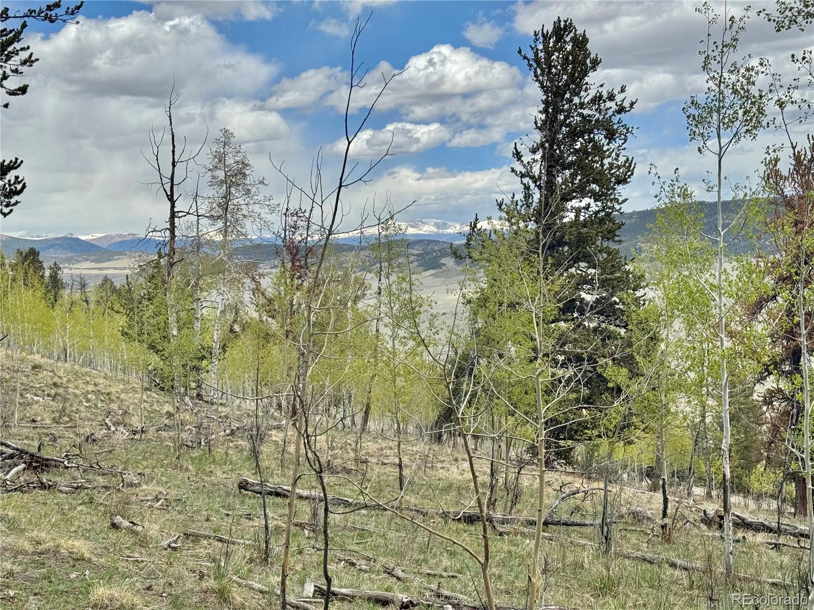 5544 Middle Fork Vista Fairplay CO 80420