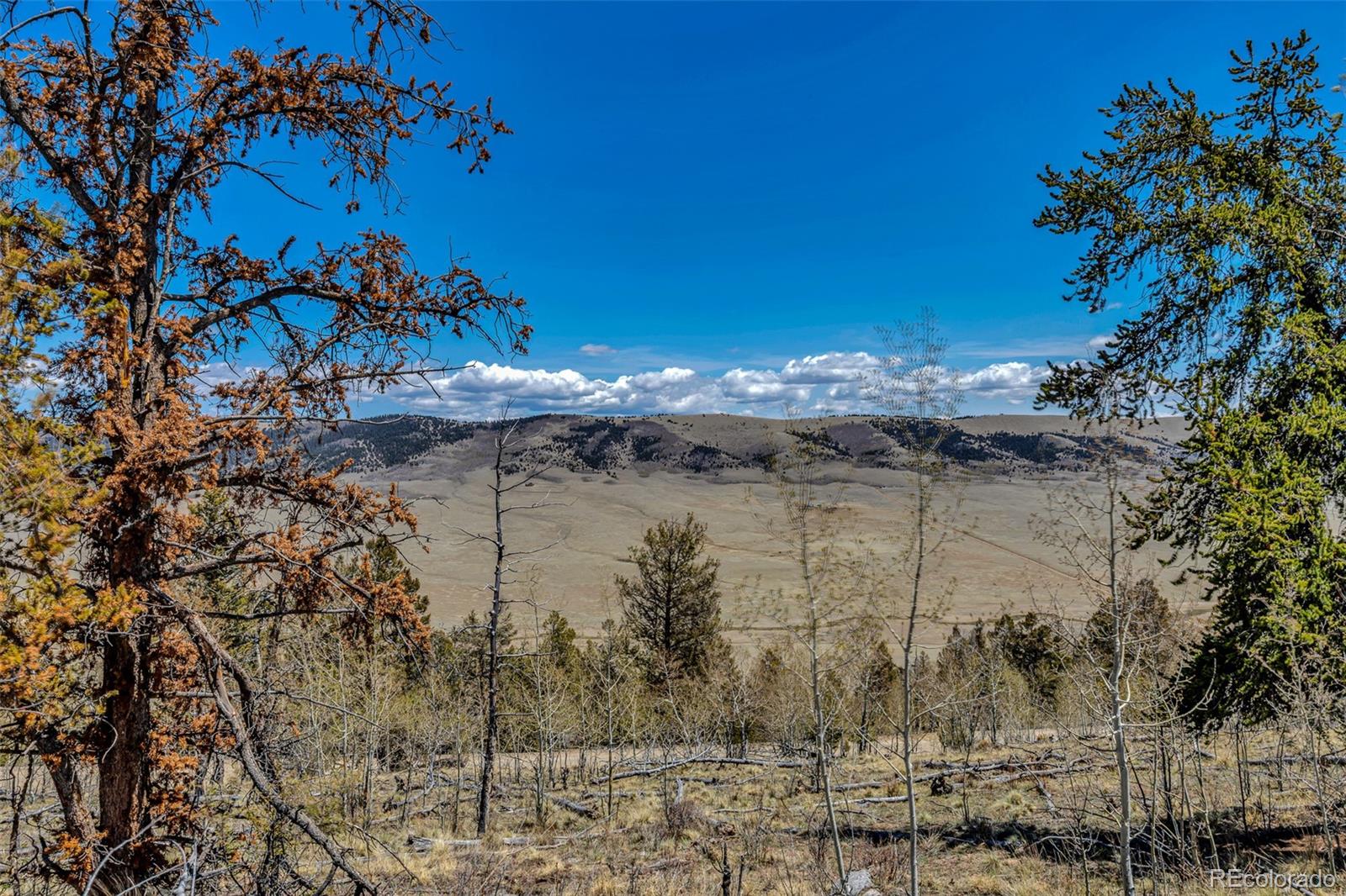 5544 Middle Fork Vista Fairplay CO 80420