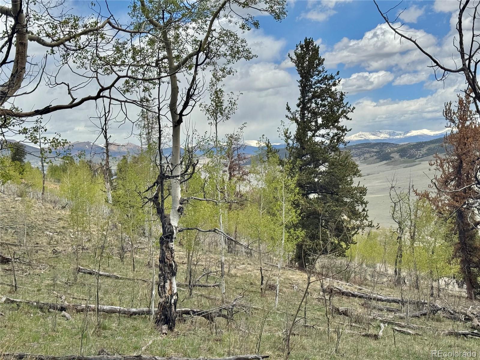 5544 Middle Fork Vista Fairplay CO 80420