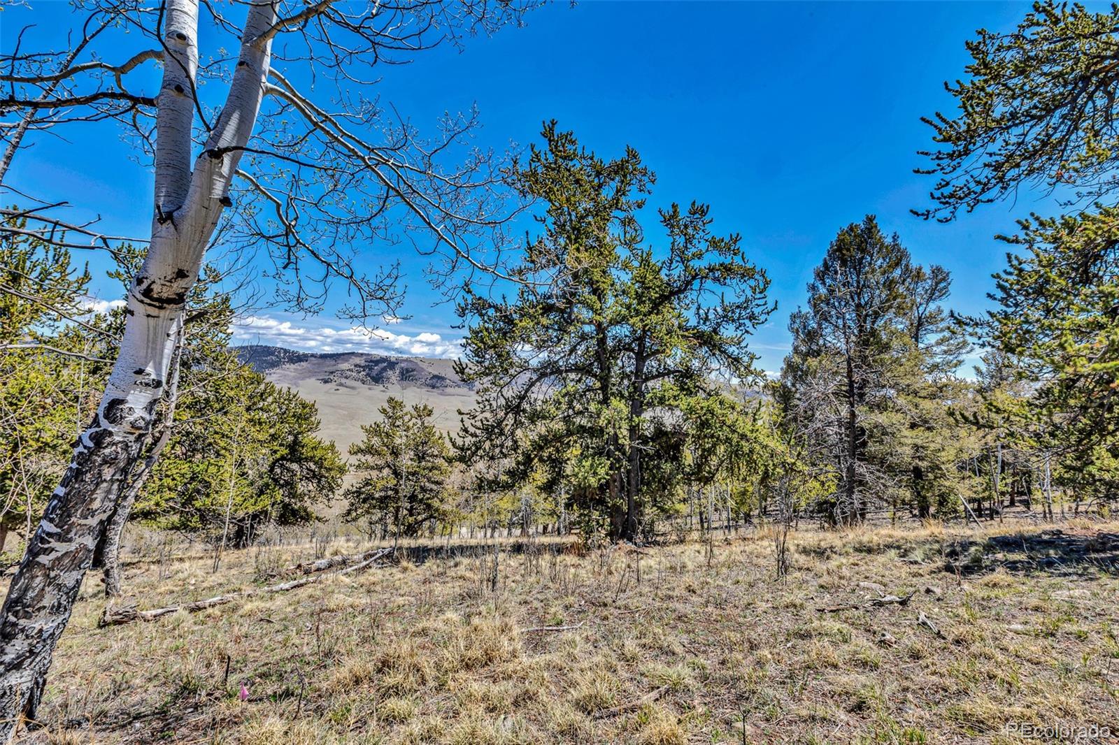 5544 Middle Fork Vista Fairplay CO 80420