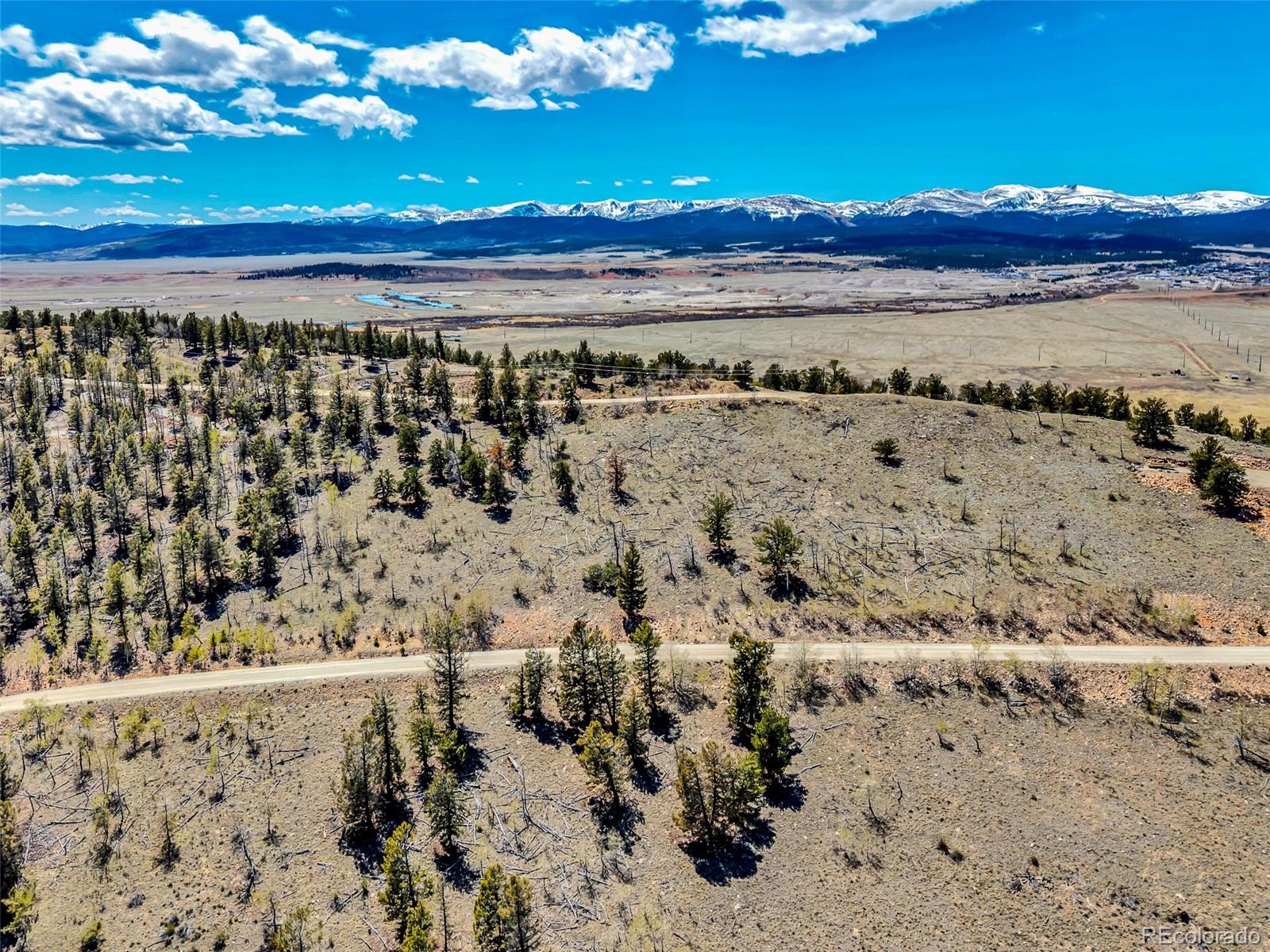 5544 Middle Fork Vista Fairplay CO 80420