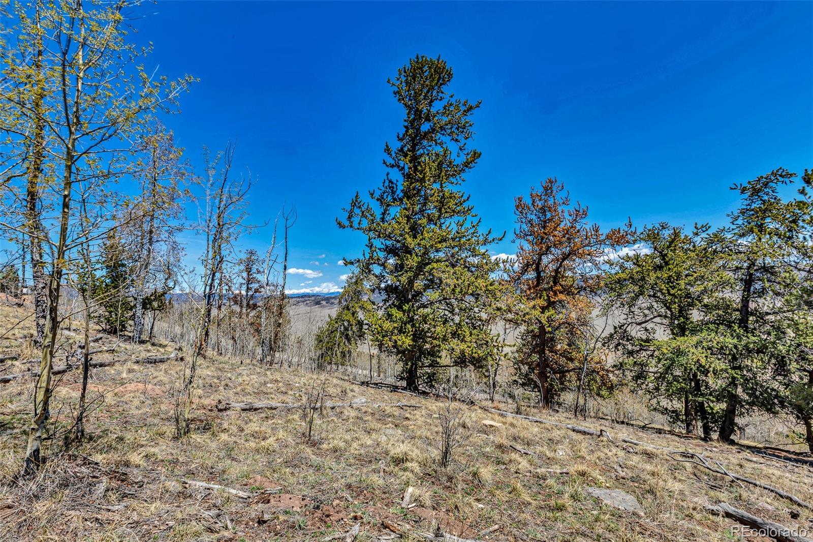5544 Middle Fork Vista Fairplay CO 80420
