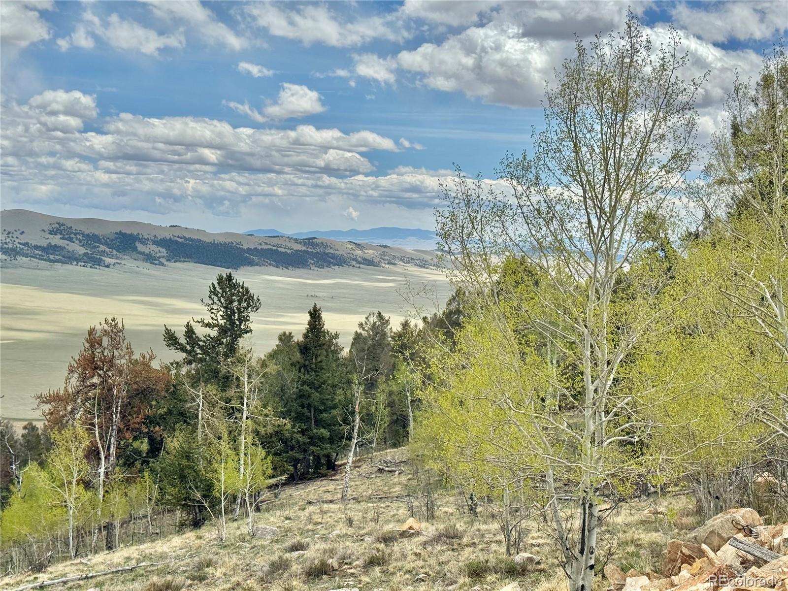 5544 Middle Fork Vista Fairplay CO 80420