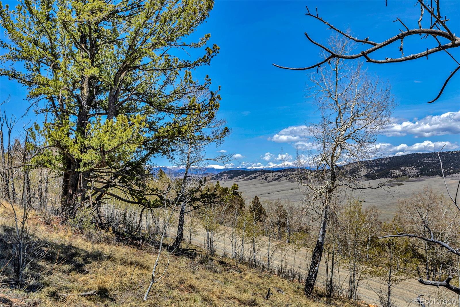 5544 Middle Fork Vista Fairplay CO 80420
