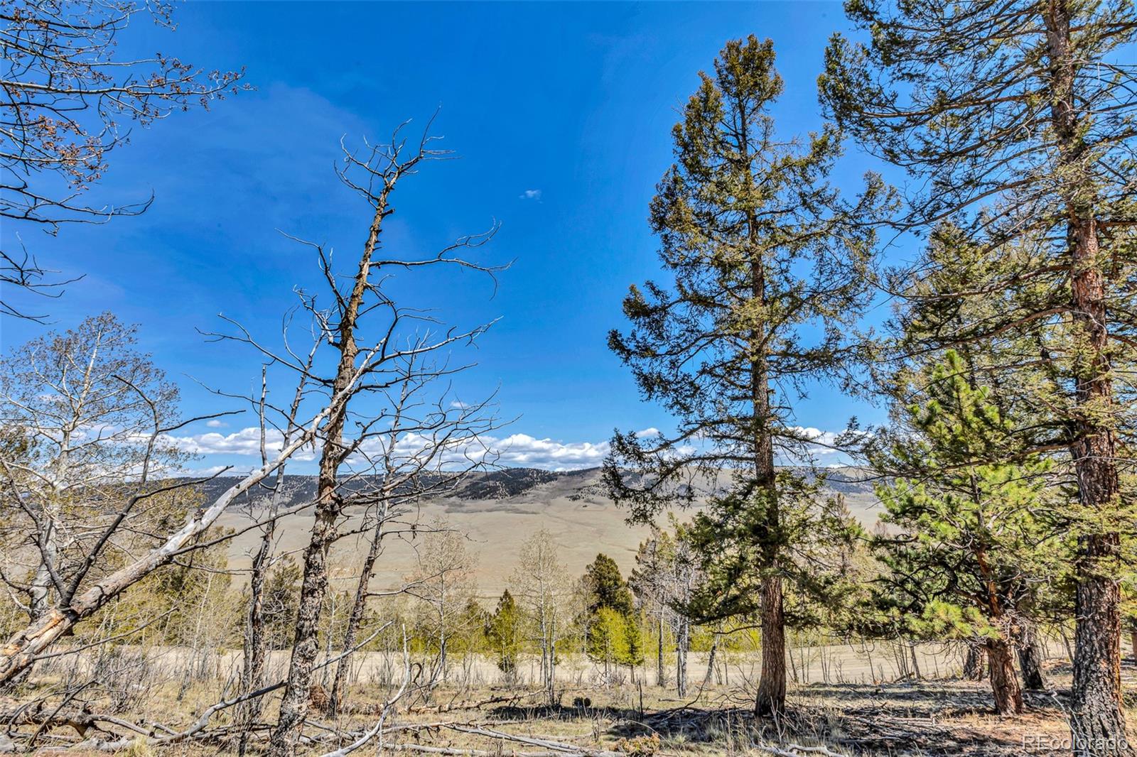 5544 Middle Fork Vista Fairplay CO 80420
