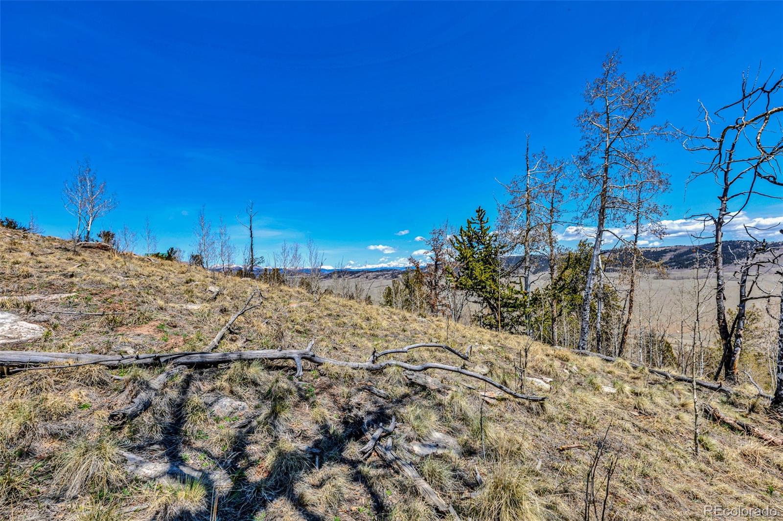 5544 Middle Fork Vista Fairplay CO 80420