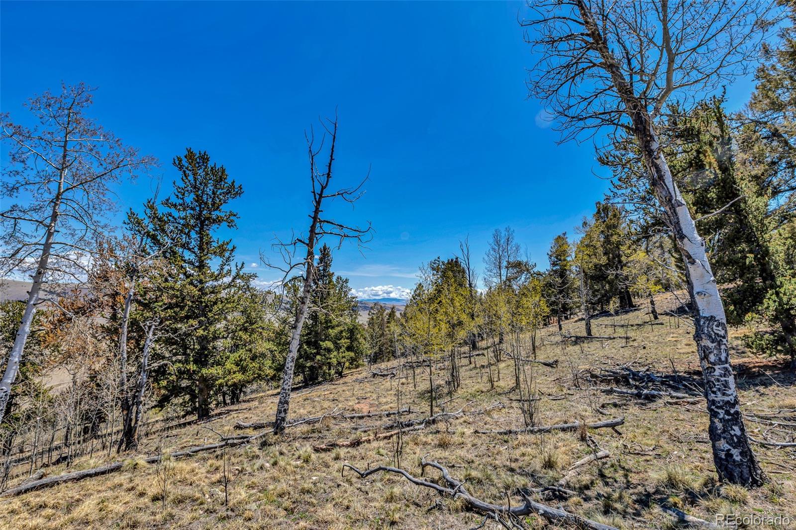5544 Middle Fork Vista Fairplay CO 80420