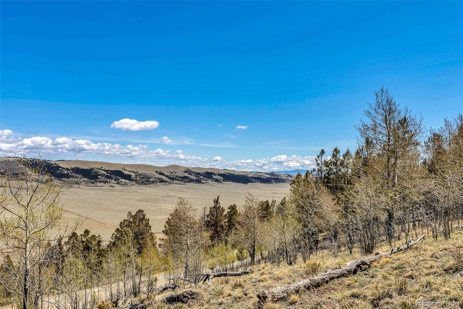 5544 Middle Fork Vista Fairplay CO 80420