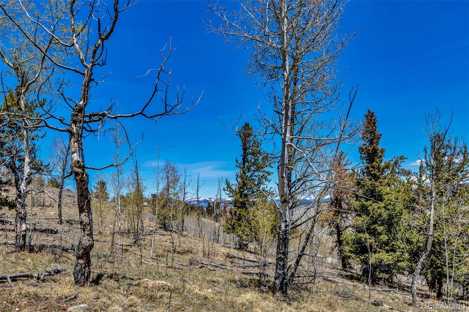 5544 Middle Fork Vista Fairplay CO 80420