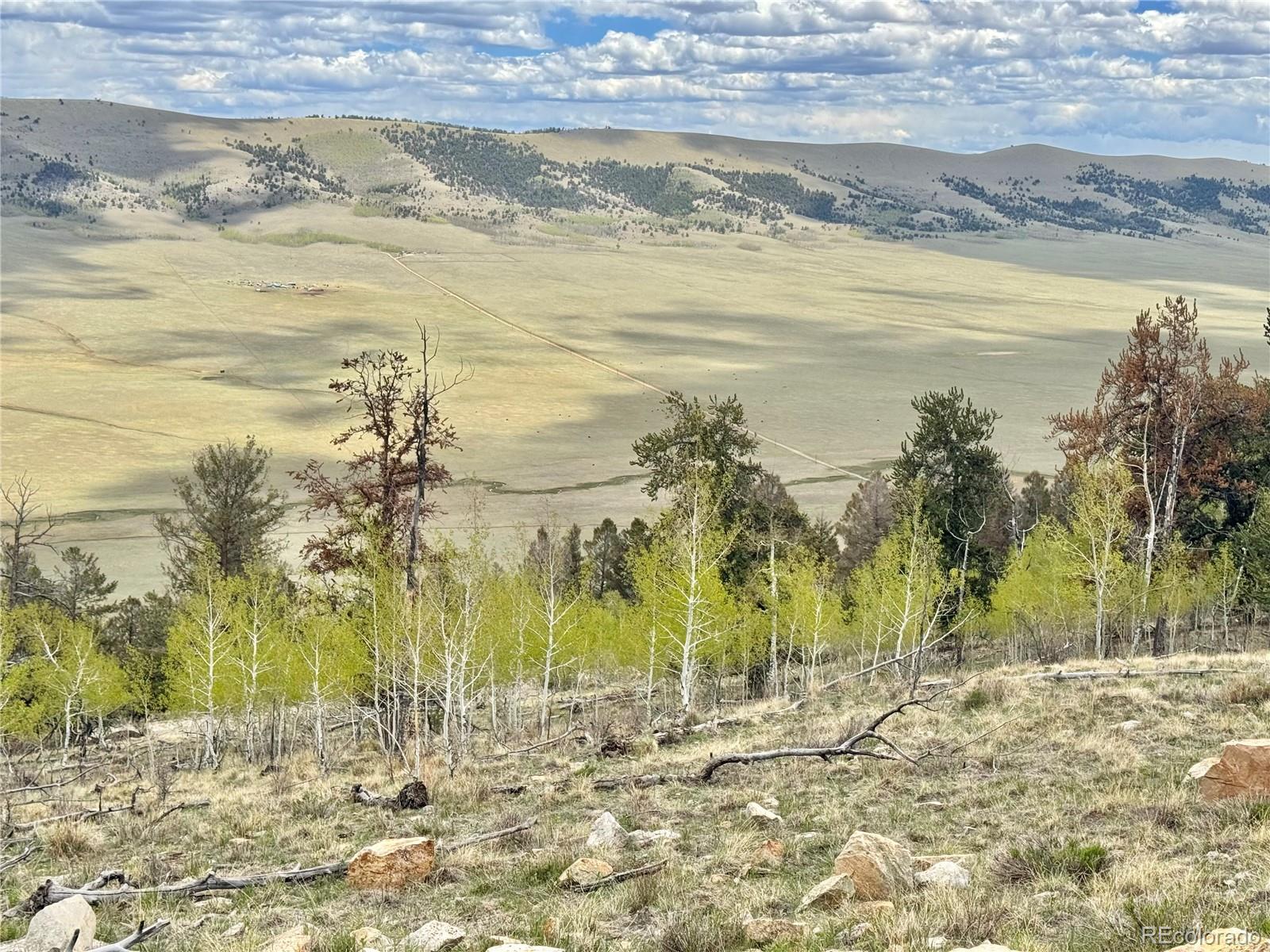 5544 Middle Fork Vista Fairplay CO 80420