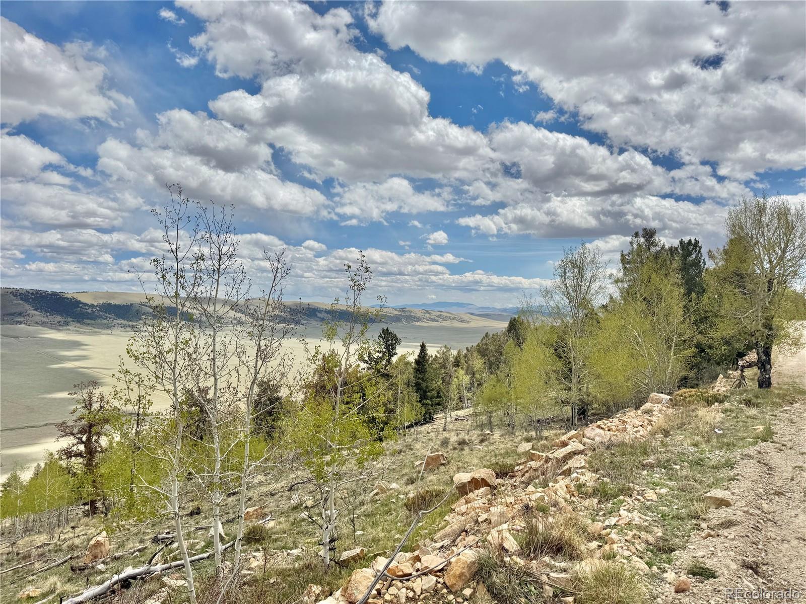 5544 Middle Fork Vista Fairplay CO 80420