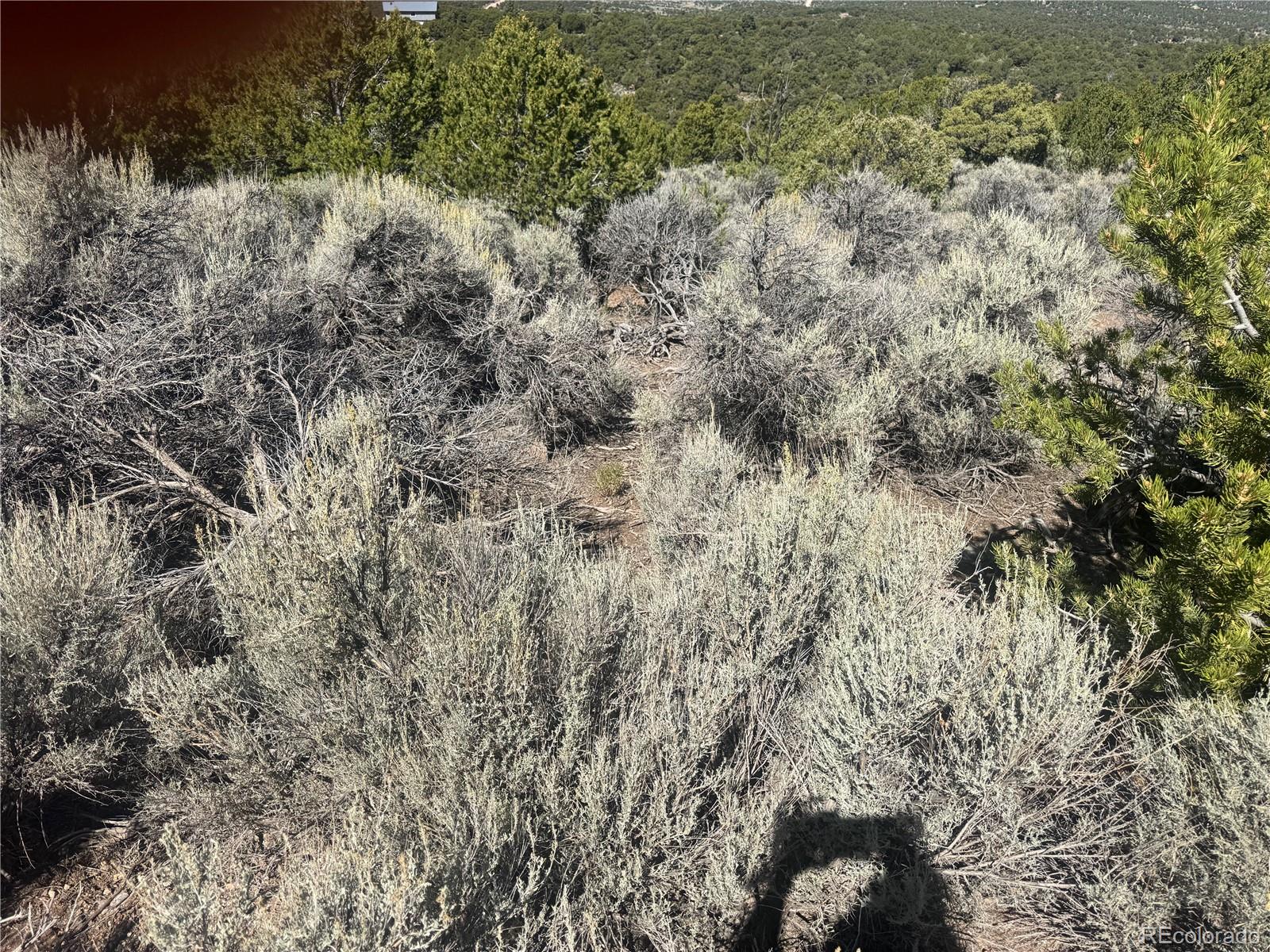 Lot 7876 Stone Road Fort Garland CO 81133