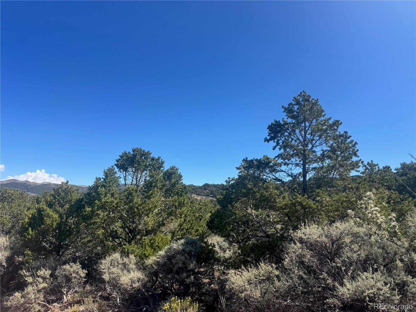 Lot 7876 Stone Road Fort Garland CO 81133