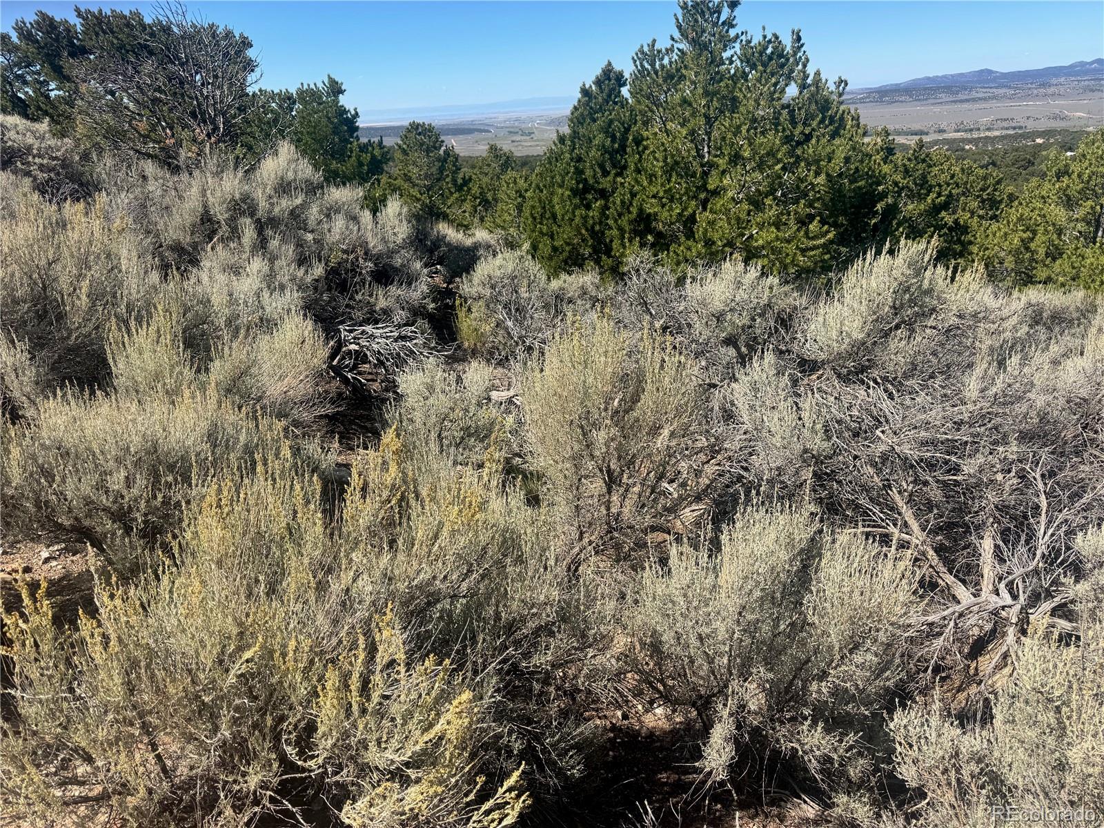 Lot 7876 Stone Road Fort Garland CO 81133