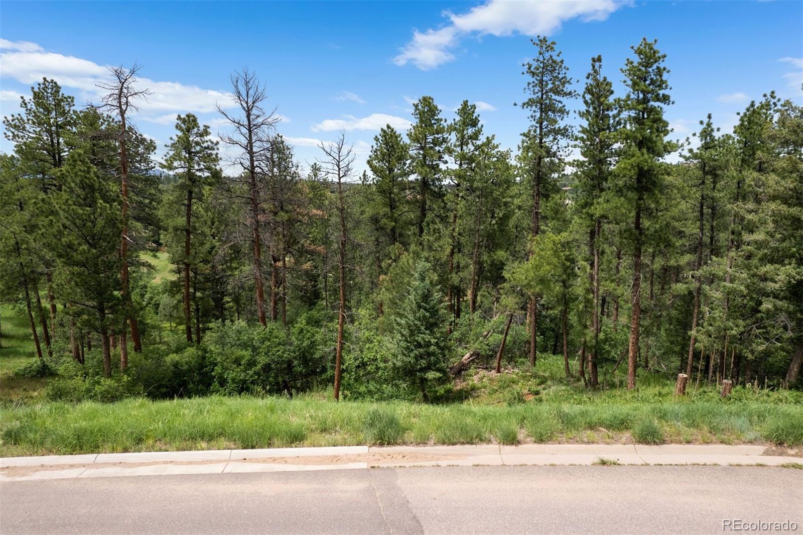 8058 Inca Road Larkspur CO 80118
