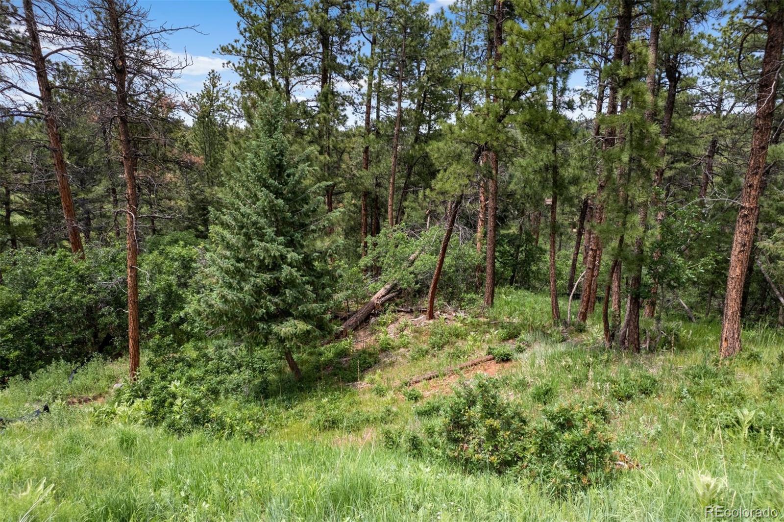 8058 Inca Road Larkspur CO 80118