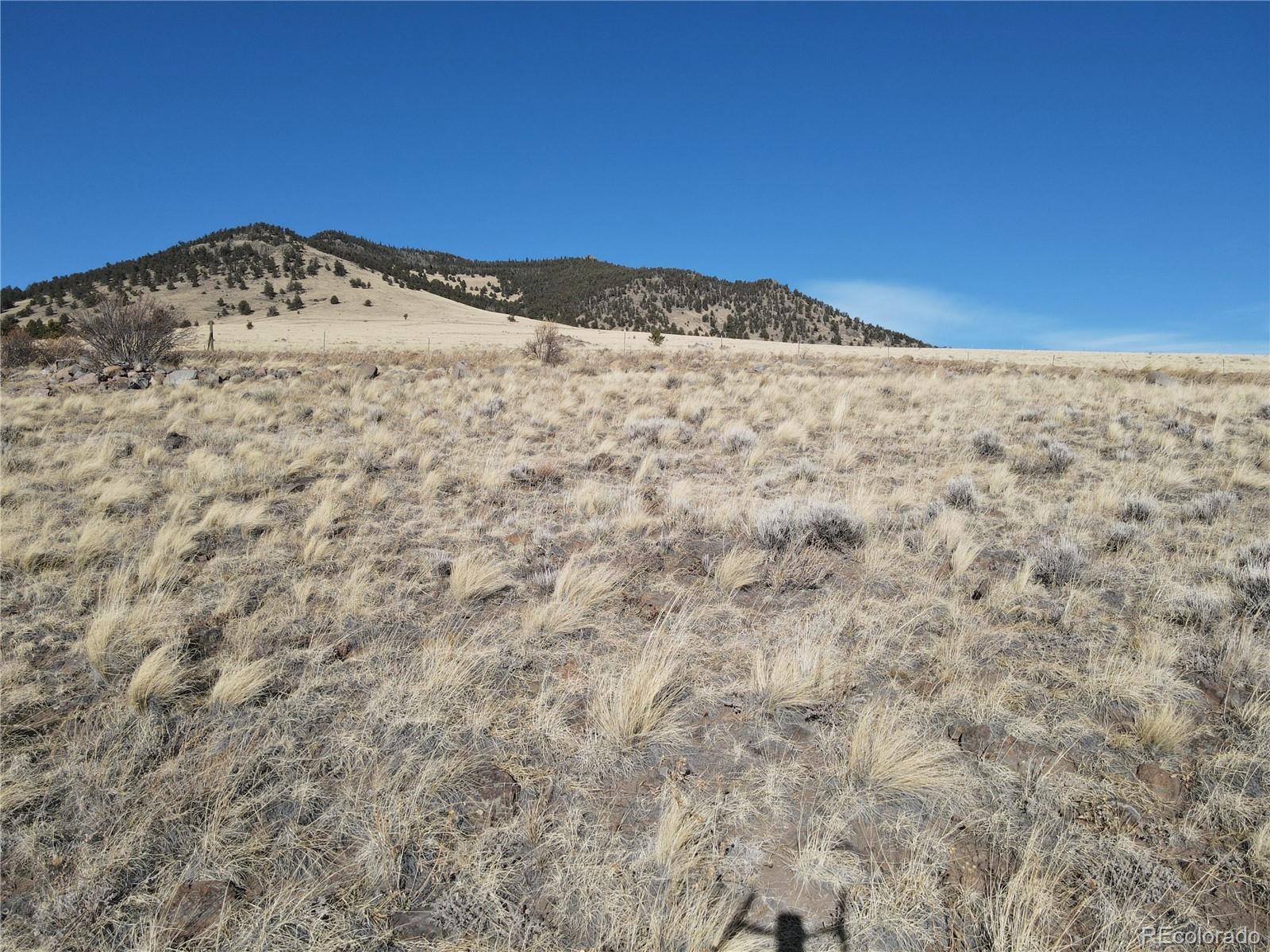 341 Lakeview Trail Guffey CO 80820