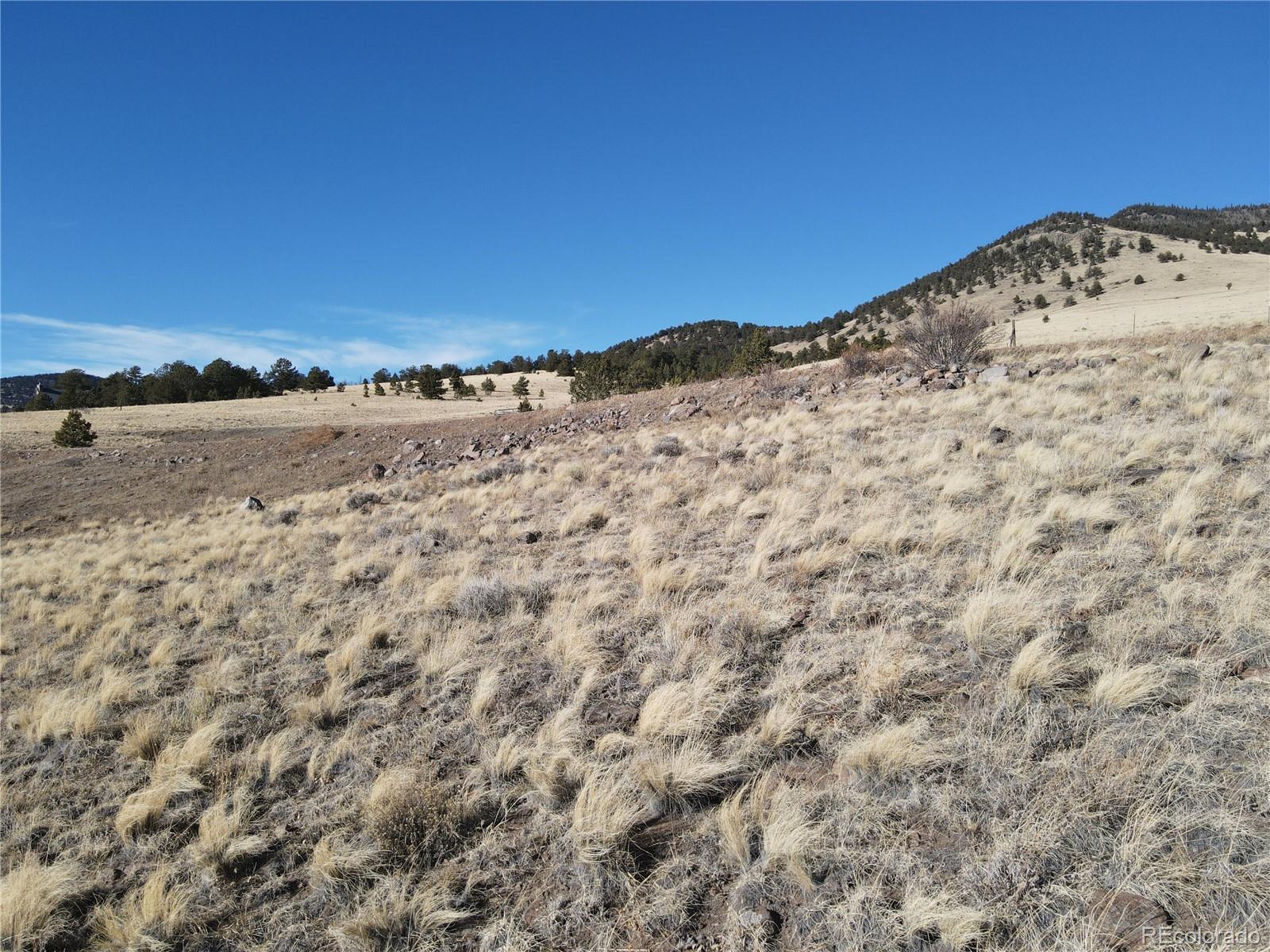 341 Lakeview Trail Guffey CO 80820