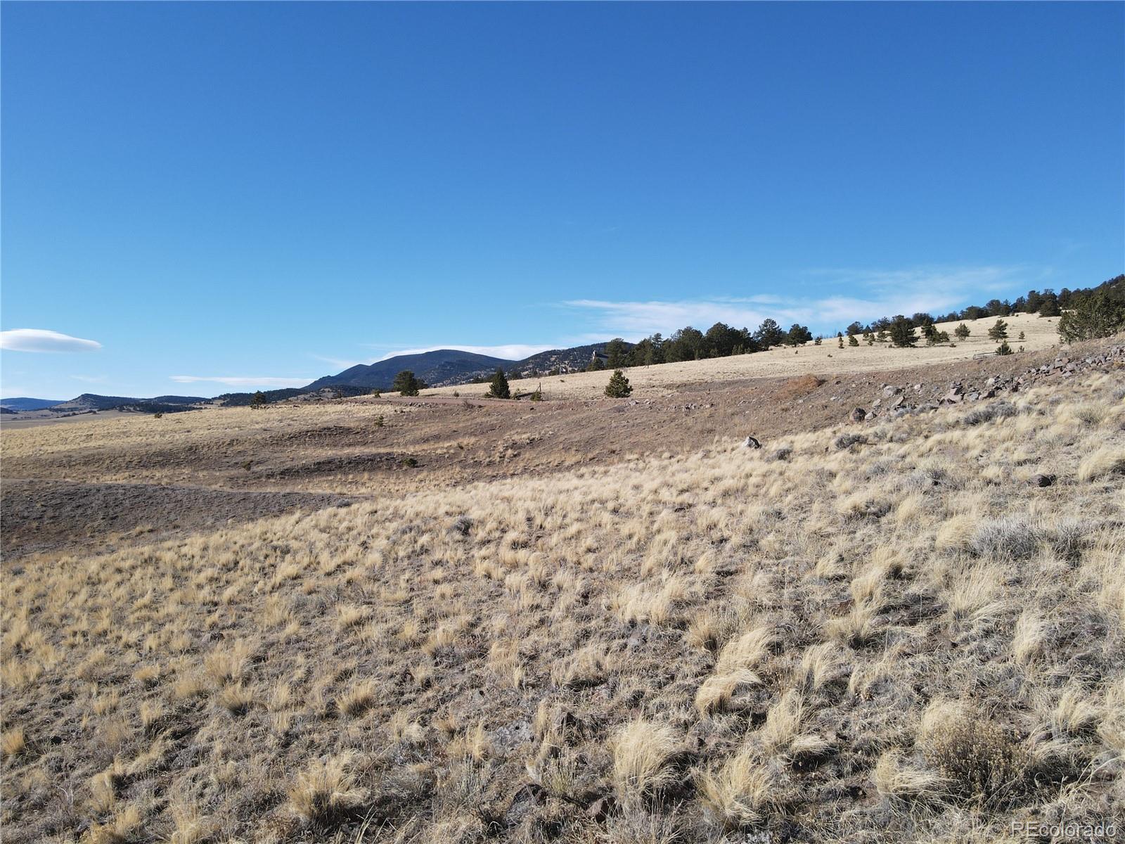 341 Lakeview Trail Guffey CO 80820