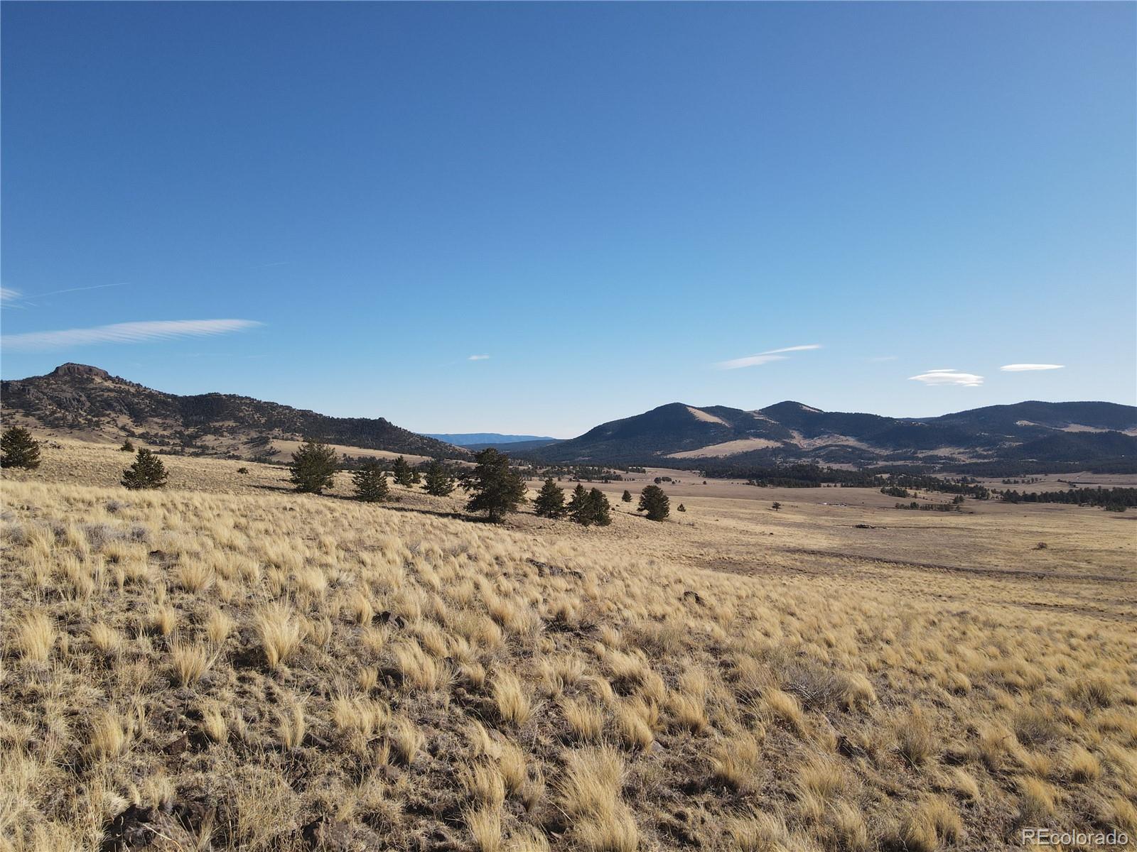 341 Lakeview Trail Guffey CO 80820