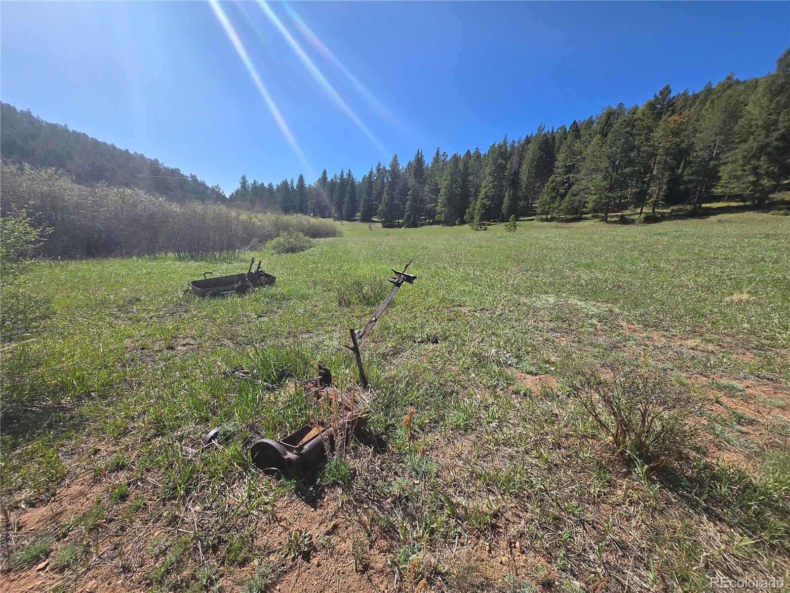 Foxton Road Conifer CO 80433