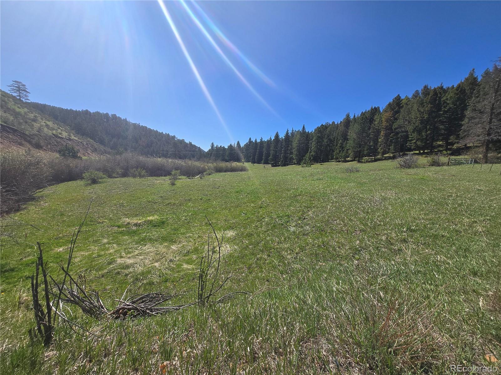 Foxton Road Conifer CO 80433