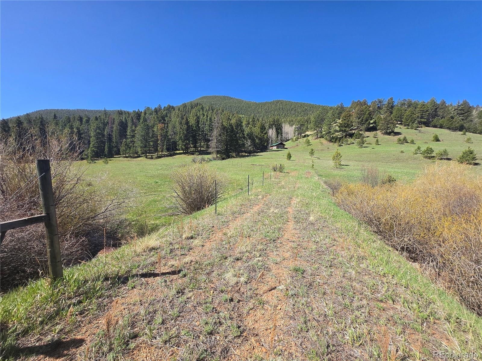 Foxton Road Conifer CO 80433