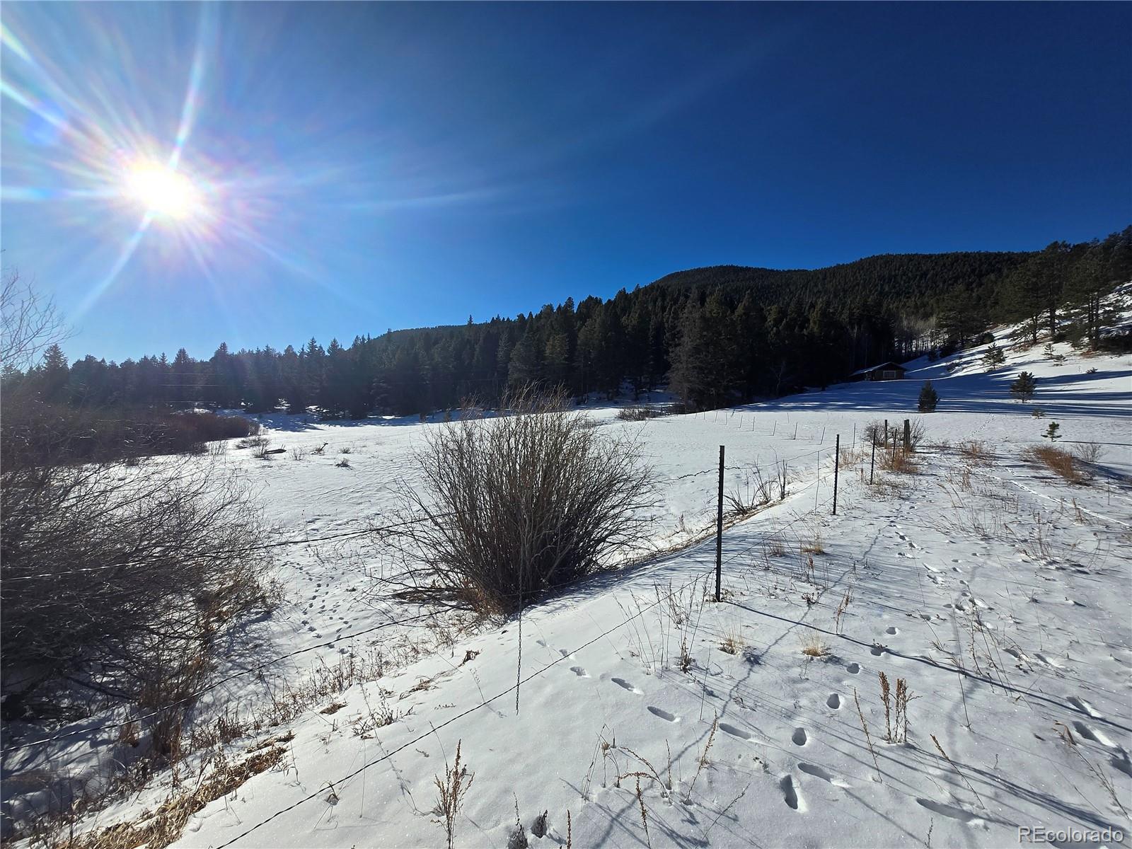 Foxton Road Conifer CO 80433