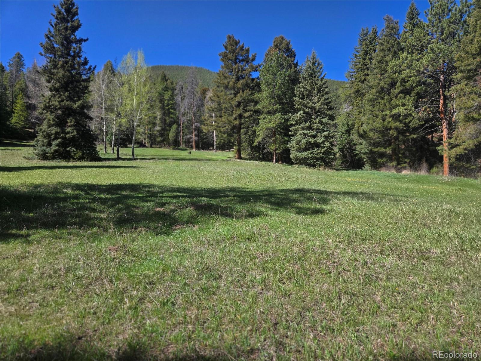 Foxton Road Conifer CO 80433