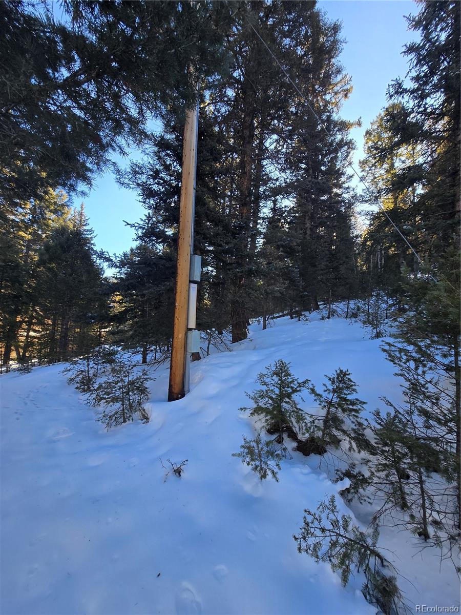 Foxton Road Conifer CO 80433