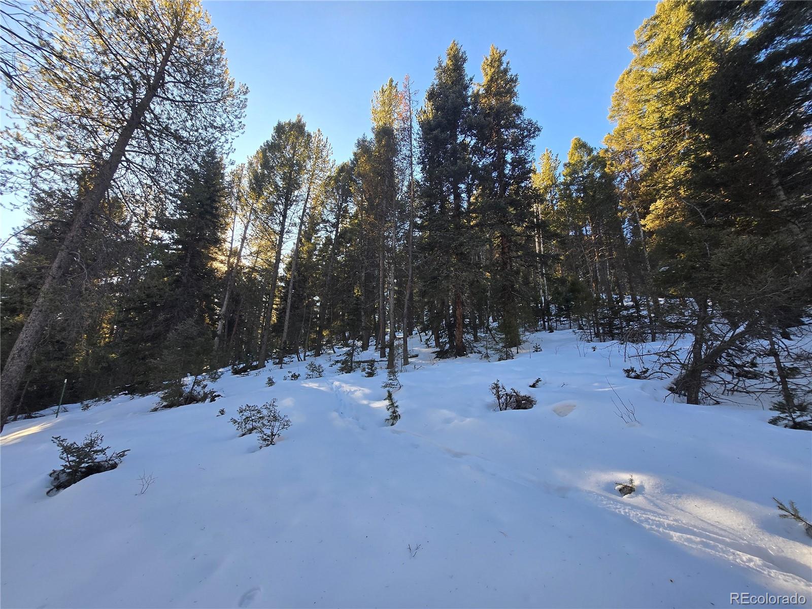 Foxton Road Conifer CO 80433