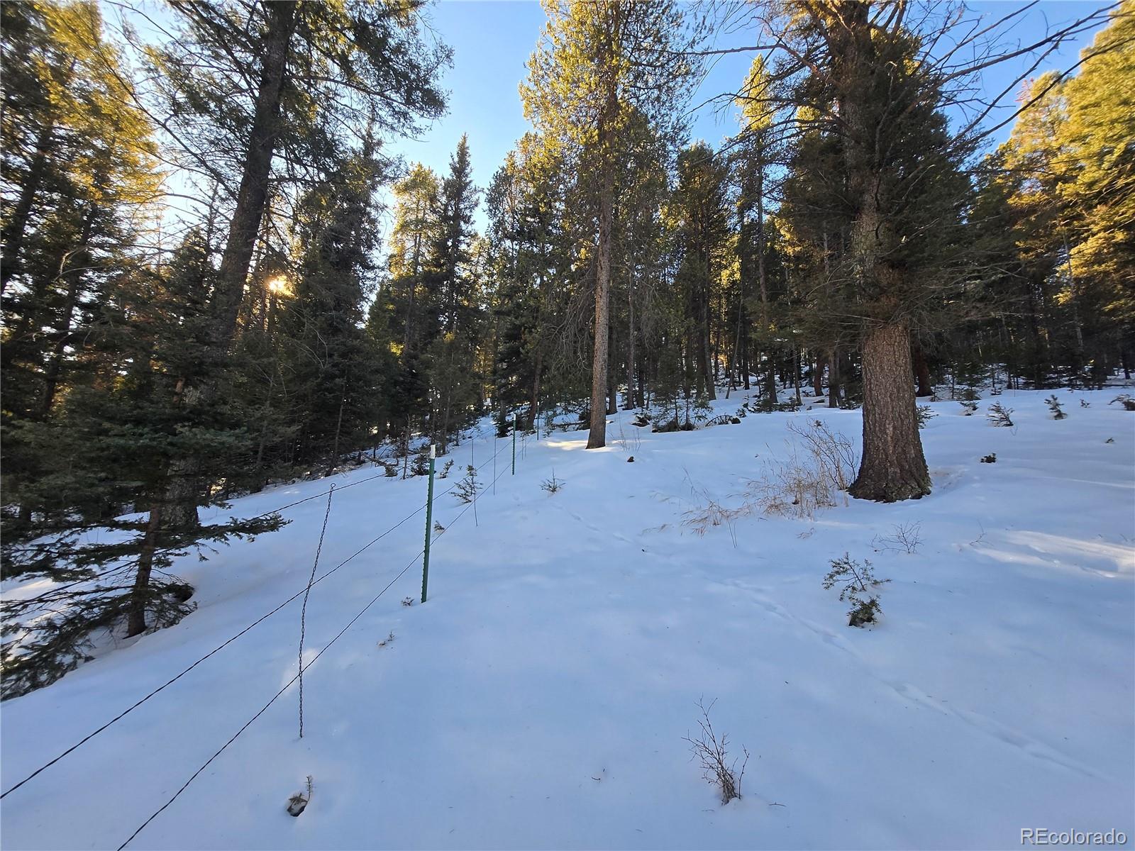 Foxton Road Conifer CO 80433