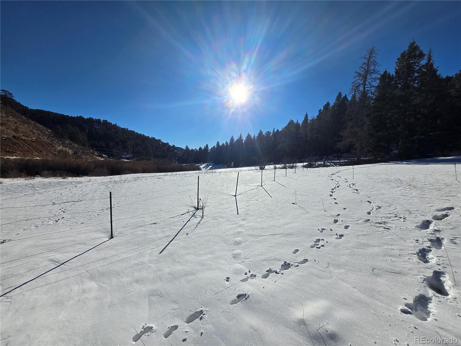 Foxton Road Conifer CO 80433