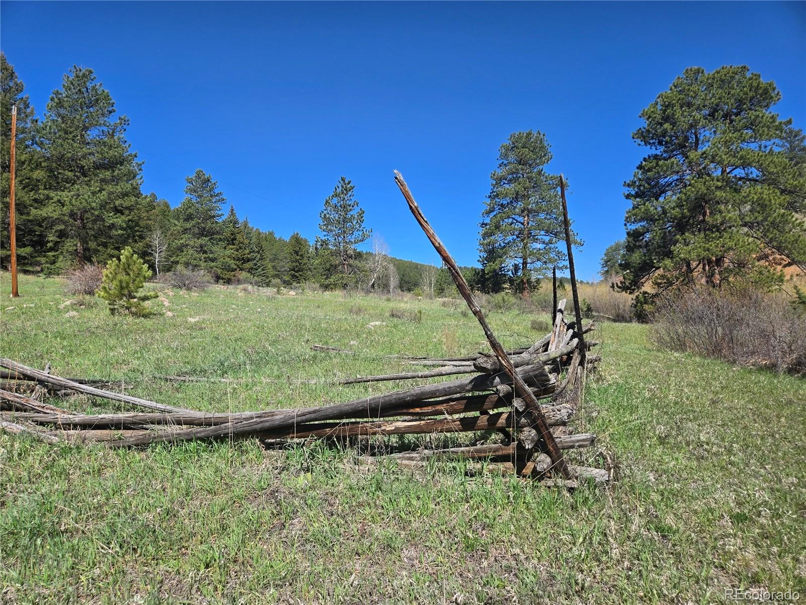 Foxton Road Conifer CO 80433