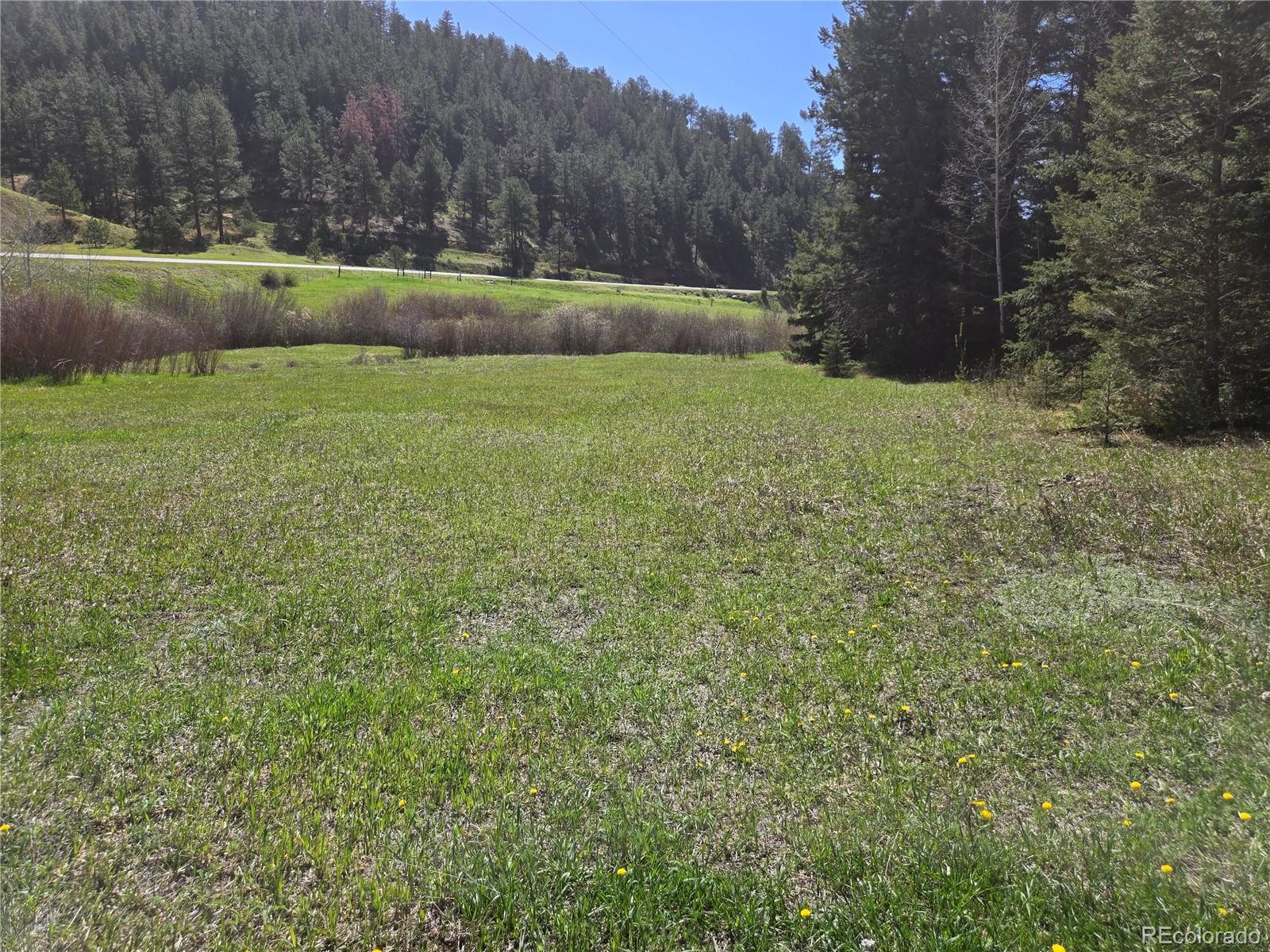 Foxton Road Conifer CO 80433
